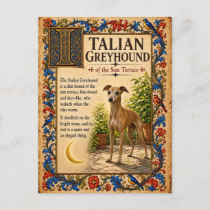Postal Galgo Italiano, Arte de Bestiario Medieval