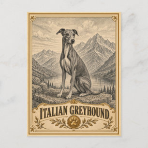 Postal Galgo Italiano, Perro Patrimonio Vintage
