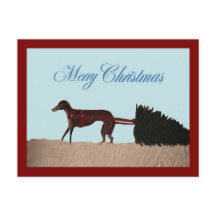 Galgo tirando un árbol de Navidad a través de la n
