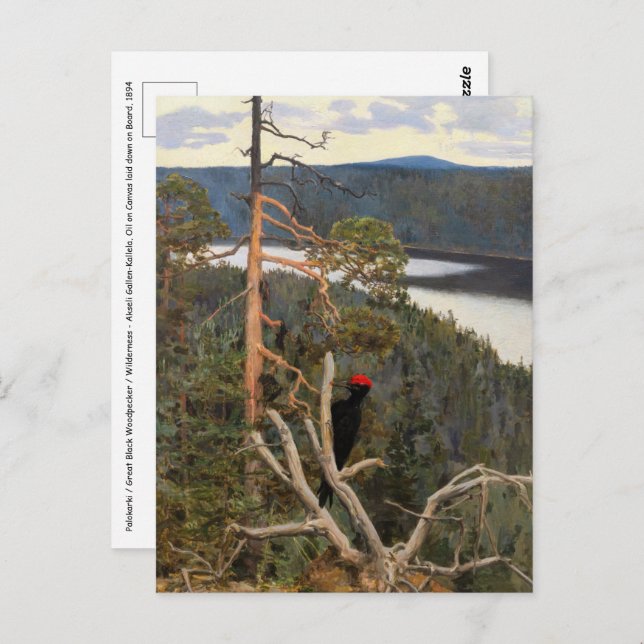 Postal Gallen-Kallela - Grandioso pájaro carpintero negro (Anverso / Reverso)