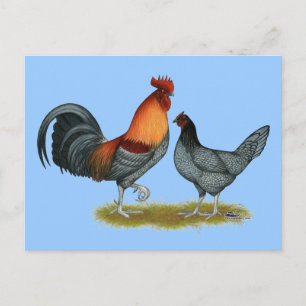 Postal Gallina azul de Delaware
