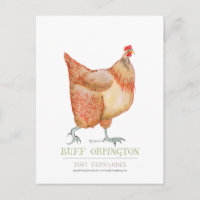 Gallina Buff Orpington, tony fernandes