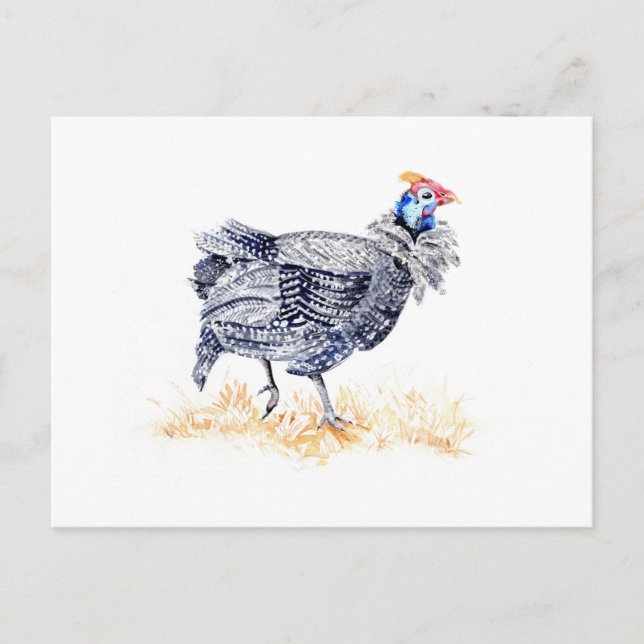 Postal Gallina de Guinea (Anverso)