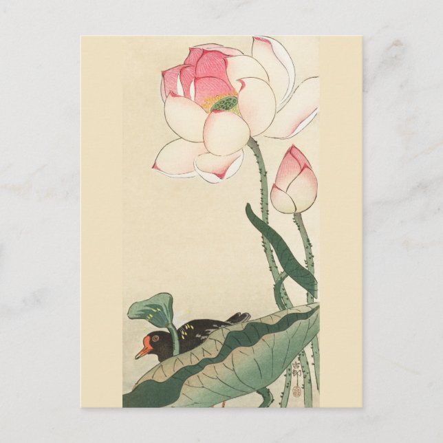 Postal Gallinule con flores de Lotus de Ohara Koson (Anverso)