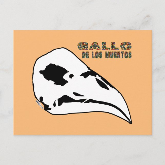 Postal Gallo De Los Muertos (Anverso)