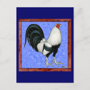 Postal Gallo de pelea enmarcado
