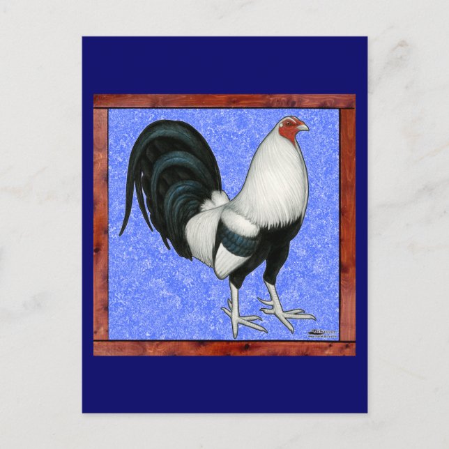 Postal Gallo de pelea enmarcado (Anverso)