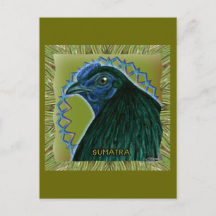 Postal Gallo de Sumatra enmarcado