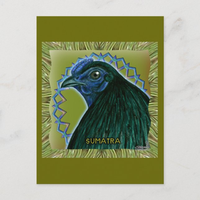 Postal Gallo de Sumatra enmarcado (Anverso)