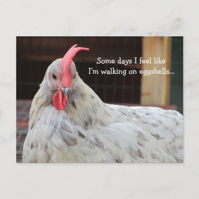 Postal Gallo Divertido con Dicho (Anverso)