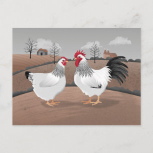 Postal Gallo y gallina