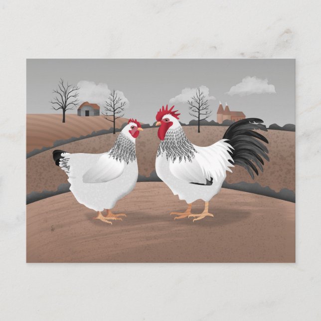 Postal Gallo y gallina (Anverso)