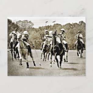Postal Gallopaje de caballos de Polo