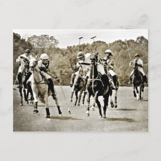 Postal Gallopaje de caballos de Polo