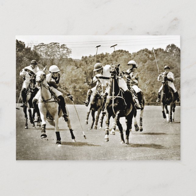 Postal Gallopaje de caballos de Polo (Anverso)