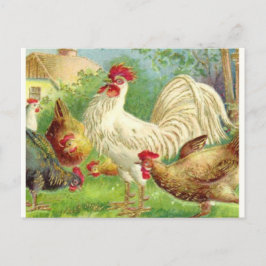 Postal Gallos de época y pollos