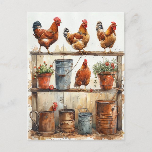 Postal Gallos rojos en banco de jardinería Cubos oxidados (Anverso)