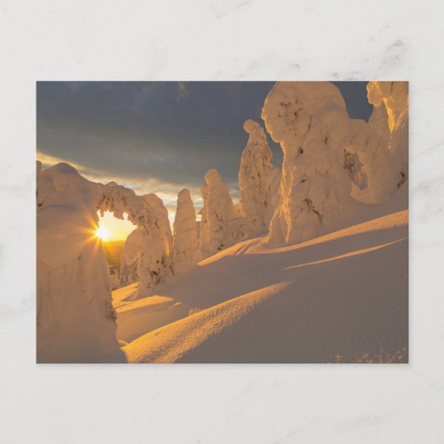 Postal Gama de Whitefish | Whitefish, Montana (Anverso)