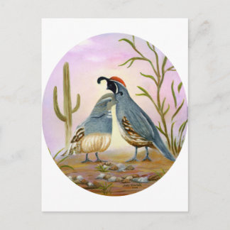 Postal Gambel Quails