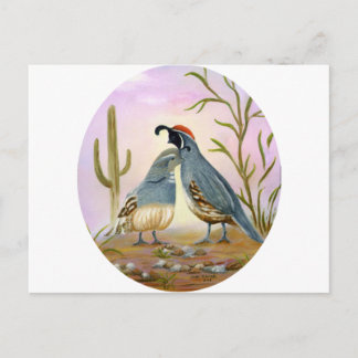 Postal Gambel Quails