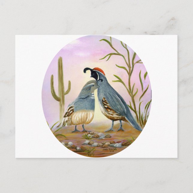 Postal Gambel Quails (Anverso)