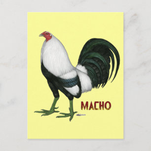 Postal Gamecock Macho Duckwing