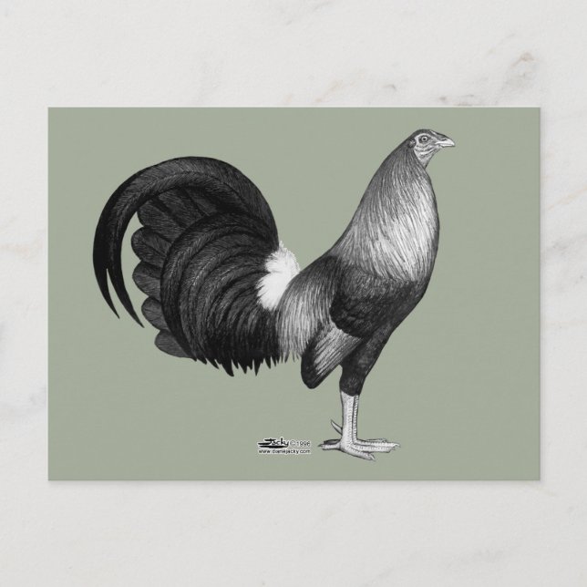 Postal Gamecock Red Hatch (Anverso)