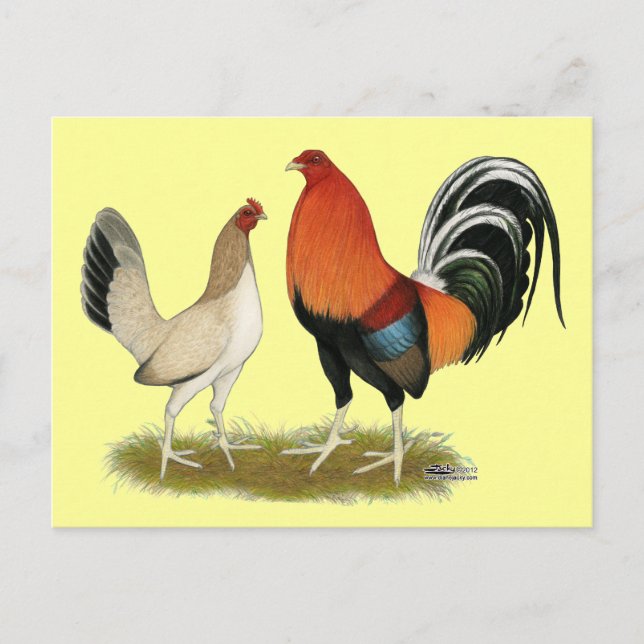 Postal Gamefowl Wheatens (Anverso)