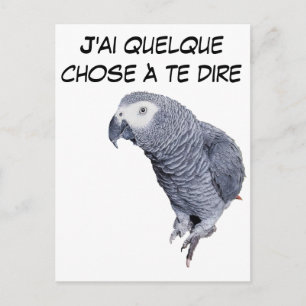 Postal Gamme Perroquet - Gris du Gabon