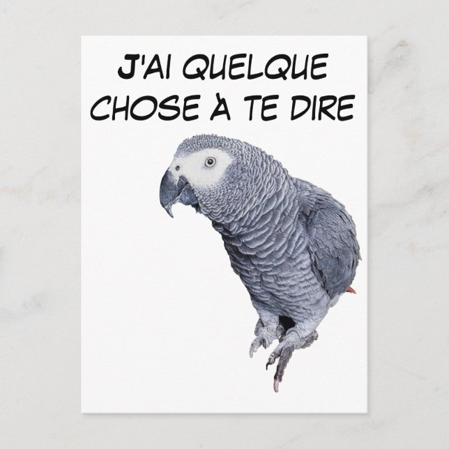 Postal Gamme Perroquet - Gris du Gabon (Anverso)