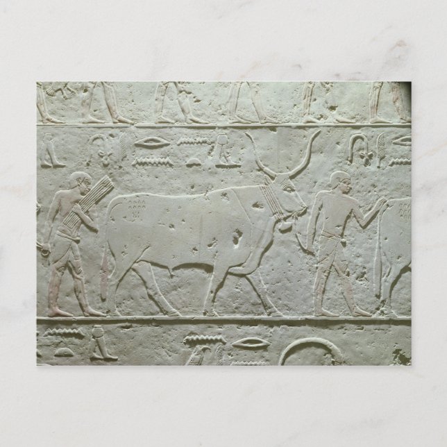 Postal Ganadero que lleva un toro (Anverso)