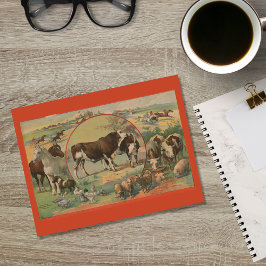Postal Ganado bovino Animales Race Track Ephemera