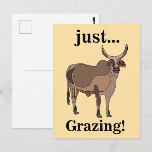 Postal Ganado Cebú Vaca Animal