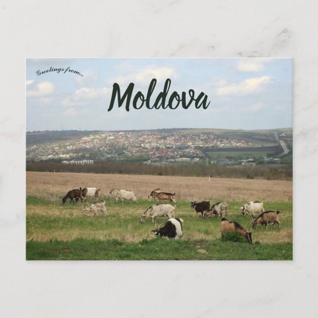 Postal Ganado en Chisinau Moldavia (Anverso)