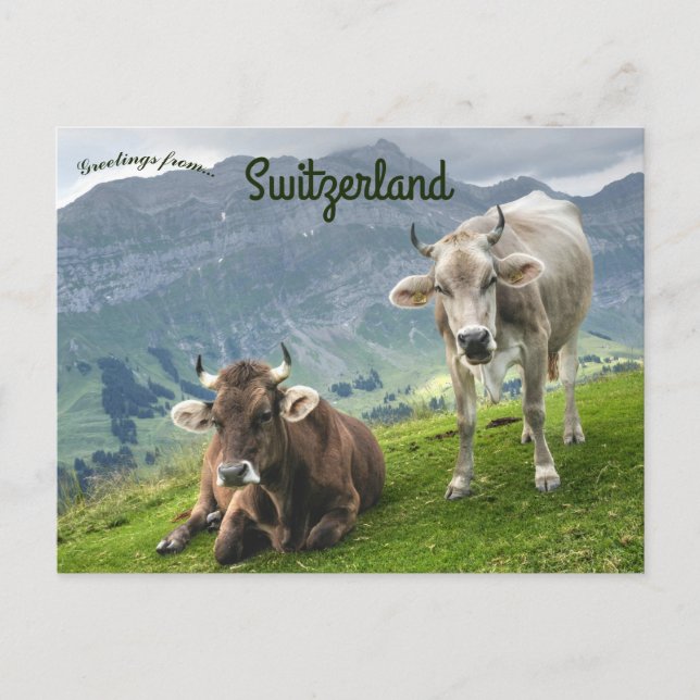 Postal Ganado en Suiza (Anverso)