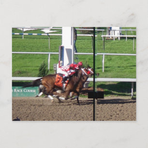 Postal Ganador Con Una Postcard Nariz