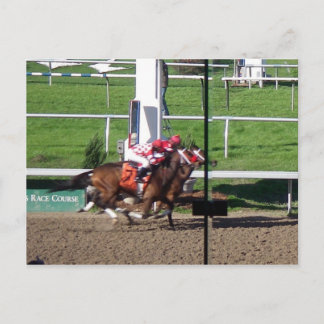 Postal Ganador Con Una Postcard Nariz