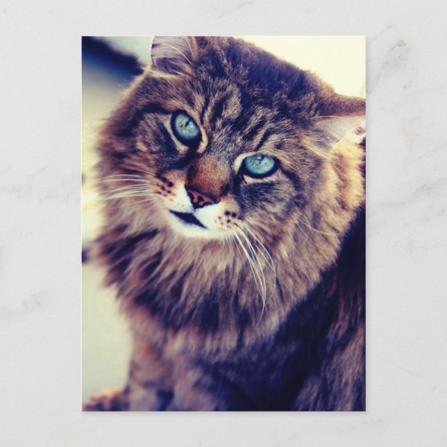 Postal Gandalf (Anverso)