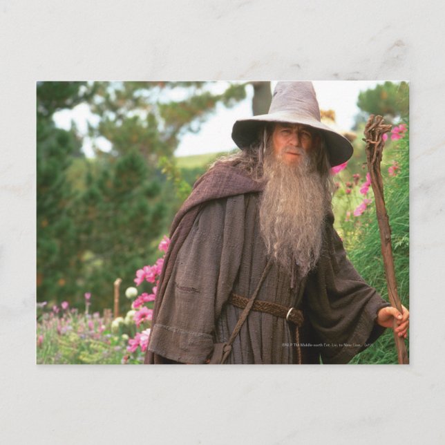 Postal GANDALF™ con Gorra (Anverso)
