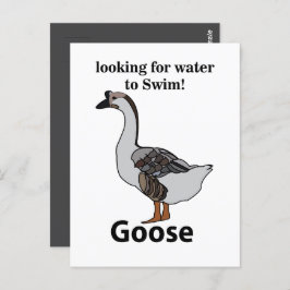 Postal Ganso Buscando Agua Para Nadar Ganso Africano