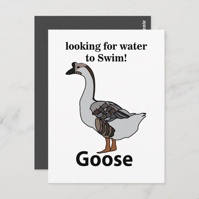 Postal Ganso Buscando Agua Para Nadar Ganso Africano (Anverso / Reverso)