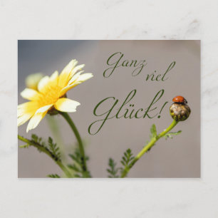 Postal Ganz viel Glück - mit Marienkäfer!