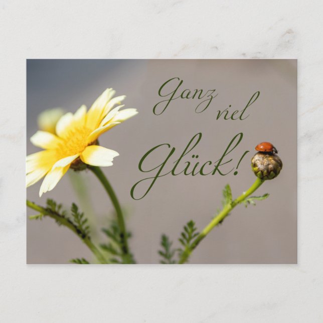 Postal Ganz viel Glück - mit Marienkäfer! (Anverso)