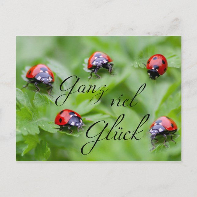 Postal Ganz viel Glück - mit Marienkäfern! (Anverso)