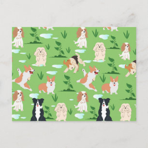 Postal Garabatos de perro
