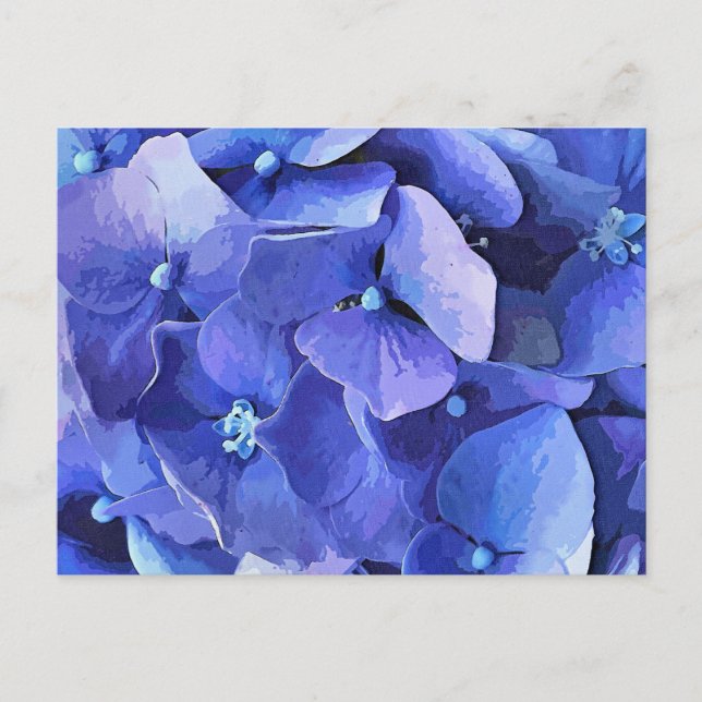 POSTAL GARDEN FLOWERS (Anverso)