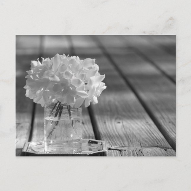 Postal Gardenias (Anverso)