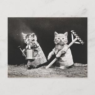 Postal Gardening Kitties   Kitty con Rake