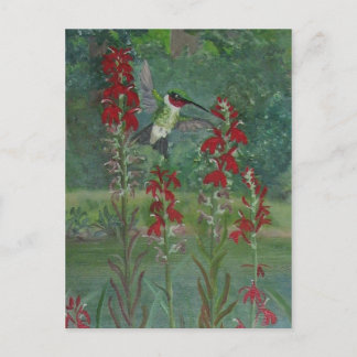 Postal Garganta de goma y flor cardinal