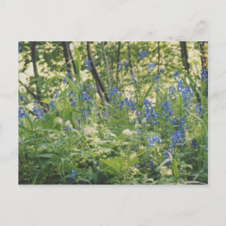 Postal Garganta del río Columbia